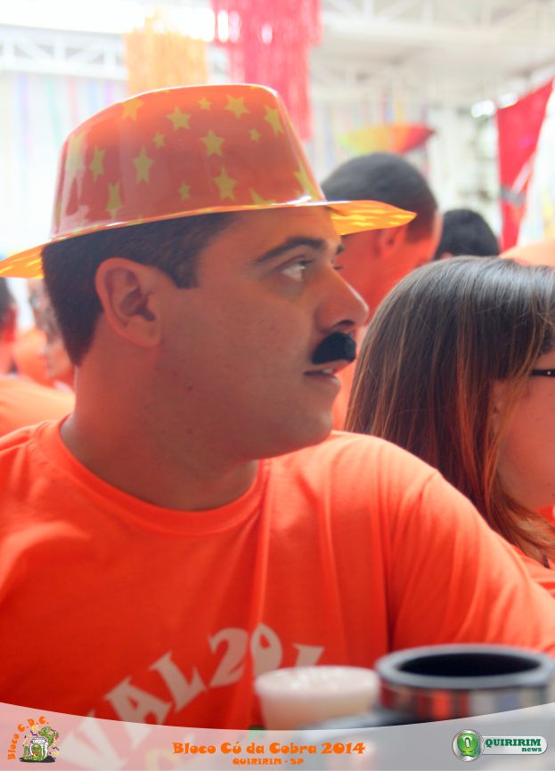 Carnaval 2014 - Bloco C.D.C.