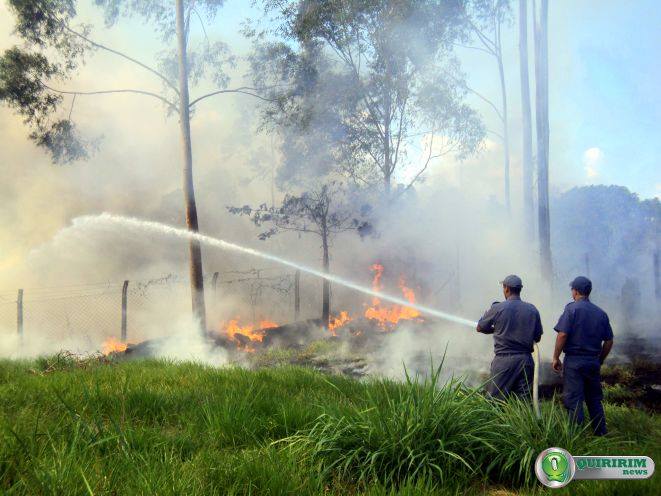 O incndio atingiu cerca de 100 metros - Foto: Douglas Castilho/Quiririm News