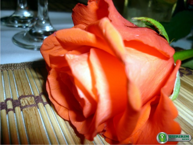 Foto Ilustrativa - Hoje � dia de agradar as mulheres, a rosa vermelha � uma boa dica